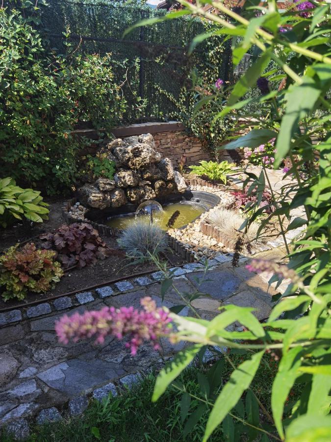 Mira Guest House Dobrinishte Bagian luar foto