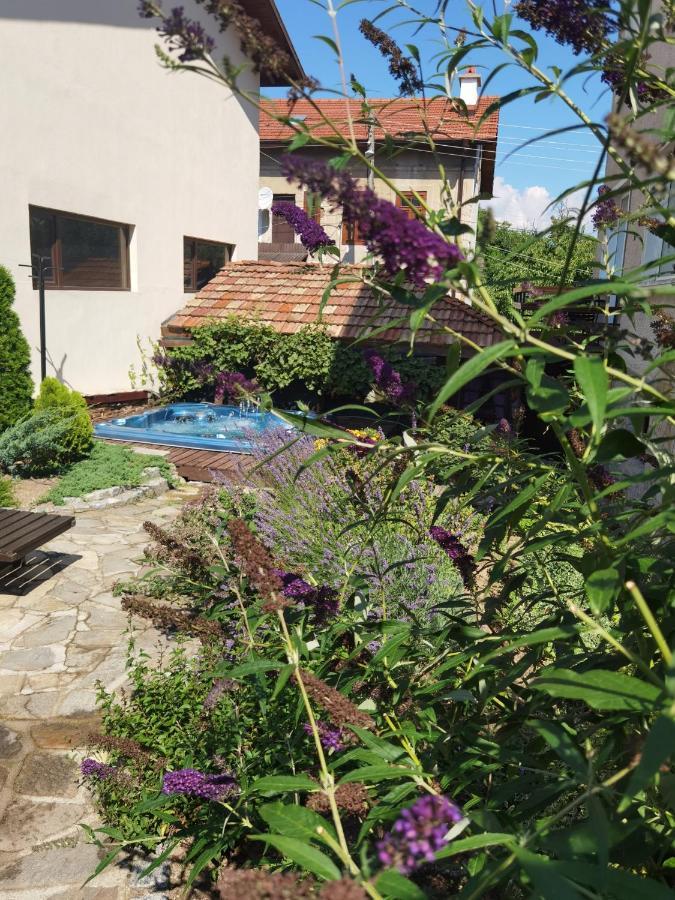 Mira Guest House Dobrinishte Bagian luar foto
