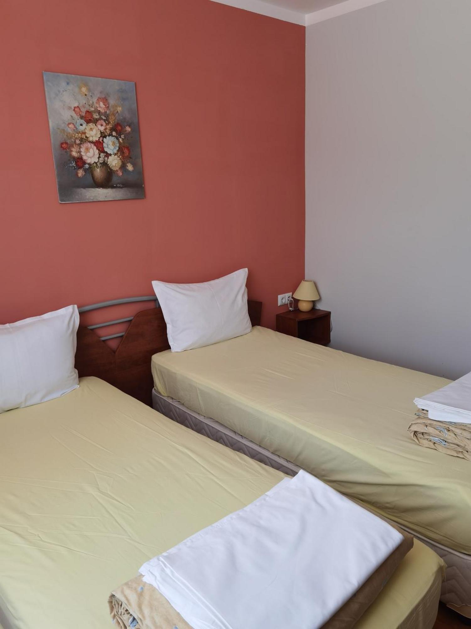 Mira Guest House Dobrinishte Ruang foto