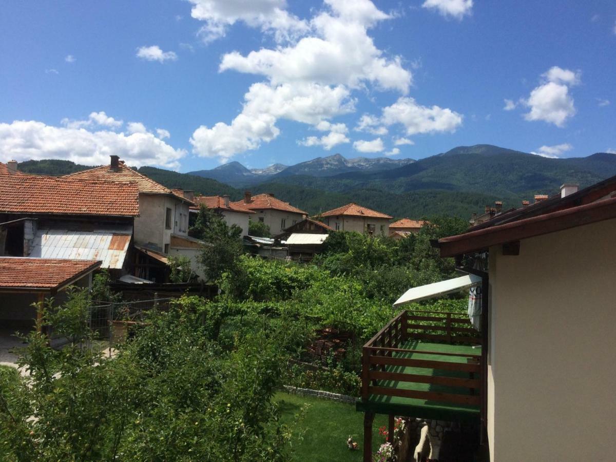 Mira Guest House Dobrinishte Bagian luar foto